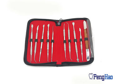 cera dental de aço inoxidável do laboratório 10pcs/Set que cinzela jogos do instrumento das ferramentas