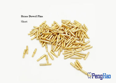 pinos dentais da impressão do laboratório de 22*1.95mm/de 20*1.95mm/pinos de passador de bronze dentais