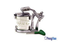 Articulator magnético dental flexível &amp; versátil sem o emplastro da necessidade