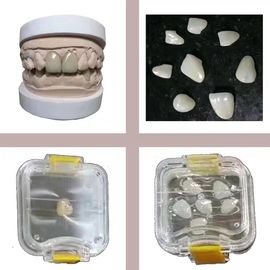 O laboratório dental transparente utiliza ferramentas a caixa plástica elástica do dente de Membrance para a dentadura
